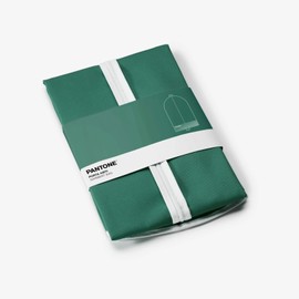 PANTONE Porta Abiti da Viaggio con Zip e Doppio Manico, Appendiabiti Antipolvere in Poliestere, Organizer Armadio Salvaspazio da Appendere e Trasportare, Borsa Appendi Abiti e Camicie, 110x60