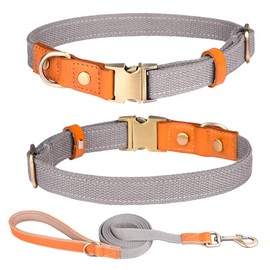 Haoyueer Nylon Dog Collar with Metal Safety Buckle, Adjustable Leather and Nylon for Pet Collars and Leash for Small Medium Large Dogs (M, Grey)