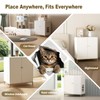 Stylish Cat Litter Box Enclosure, Modern Hidden Litter Box Furniture