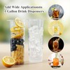 Fruit Infuser & Ice Cylinder for 1 Gallon Drink Dispensers,Compatible
