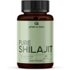 GREEN'S BEST Pure Himalayan Shilajit Capsules – Organic Fulvic Acid
