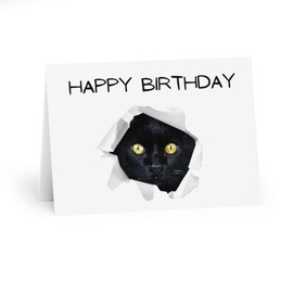 Ruxadcip - black cat out of card Birthday greeting card