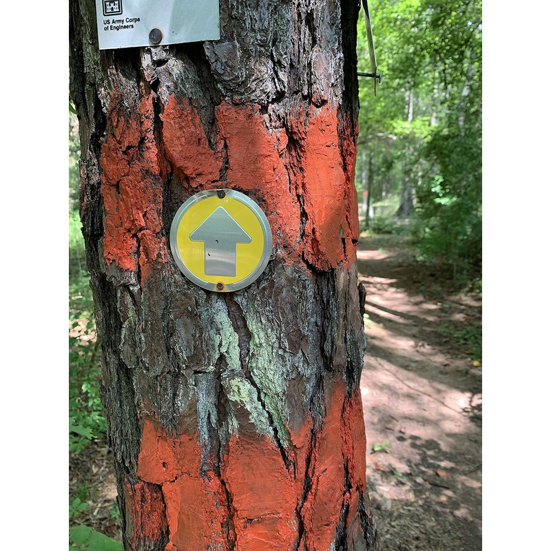 Wild Drifter Trail Markers - Bright Reflective Trail Marker Pack