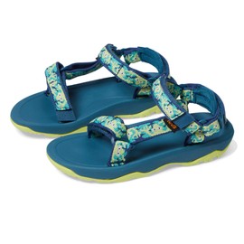 Teva Boy's Hurricane XLT2 Sandal, Frogs Green, 4 Toddler