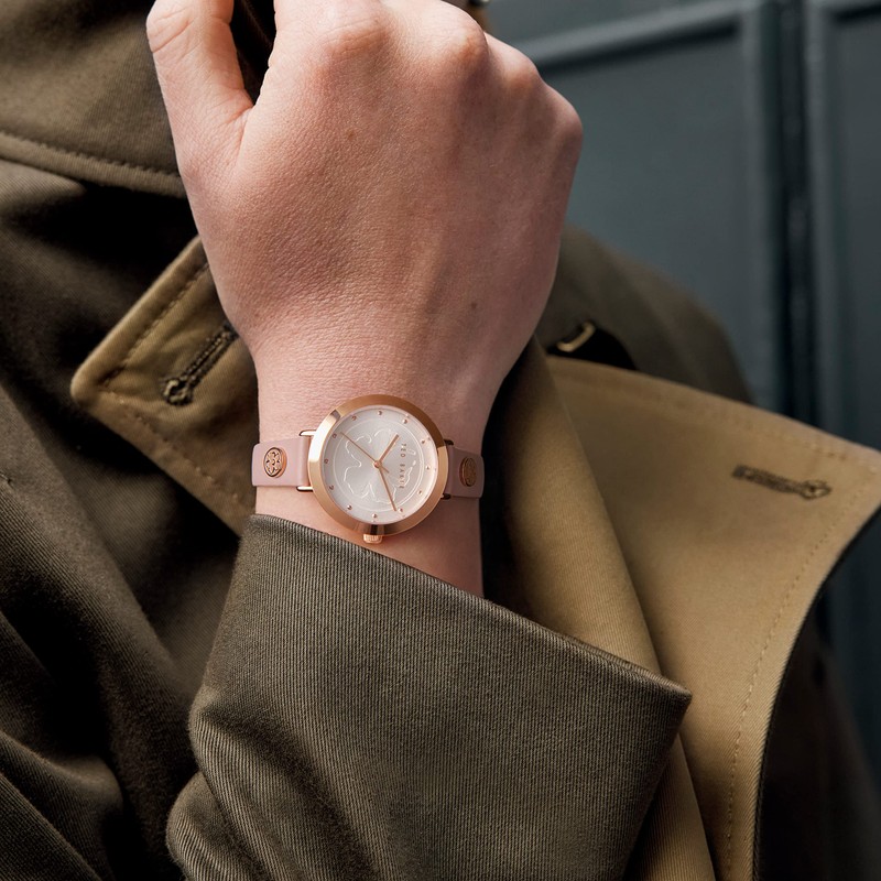 Ted Baker Casual Watch BKPAMF2049I