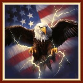 Joyhoor Cross Stitch Kits for Beginners, Stamped Cross-Stitch Supplies, Needlework, Preprint Embroidery Kits, Adults DIY, Needlepoint Kits, Embroidery Patterns, 11CT-Eagle Flag, 18x18 inch