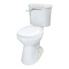 Fluidmaster 697 Universal Premium Toilet Tank Lever In Chrome, Contemporary