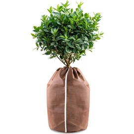 Hydrogarden Plant Pot Frost Protection Covers Tub Insulation Protection for Plants with Drainage Openings Plant Winter Protection Bag 50 x 80 cm