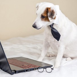 DORUI Dog Ties - 20 PCS Birthday Gift Adjustable Pet Neck Ties for Boys Girls Dog Puppy Cats Party Weddings Christmas Valentine's Day Holiday Festival Photography Grooming Accessories(Medium)