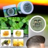 Brother's Hair Pomade, from USA