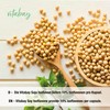 Vitabay Soy Isoflavon • 90 Vegan Capsules • With 10%