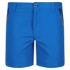 Regatta Kids' Sorcer Mountain Short III, Boxer Bambino Bambino, Oxford