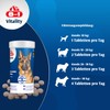 8in1 - Vitality - Glucosamin für ausgewachsene und ältere Hunde