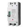 Baomain 100A DC Circuit Breaker 2 Pole 550V, Moulded Case