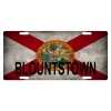 Fast Service Designs Florida State Flag License Plate Metal Sunshine