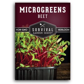 1 Pack Beet Microgreens Seeds for Planting and Growing - Plant Green Leafy Micro Vegetable Plants Indoors - Grow Your Own Mini Windowsill Garden - Non-GMO Heirloom - Survival Garden Seeds