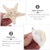 NUOBESTY 7pcs Shell Fridge Magnets Seashell Conch Star Decor Stickers