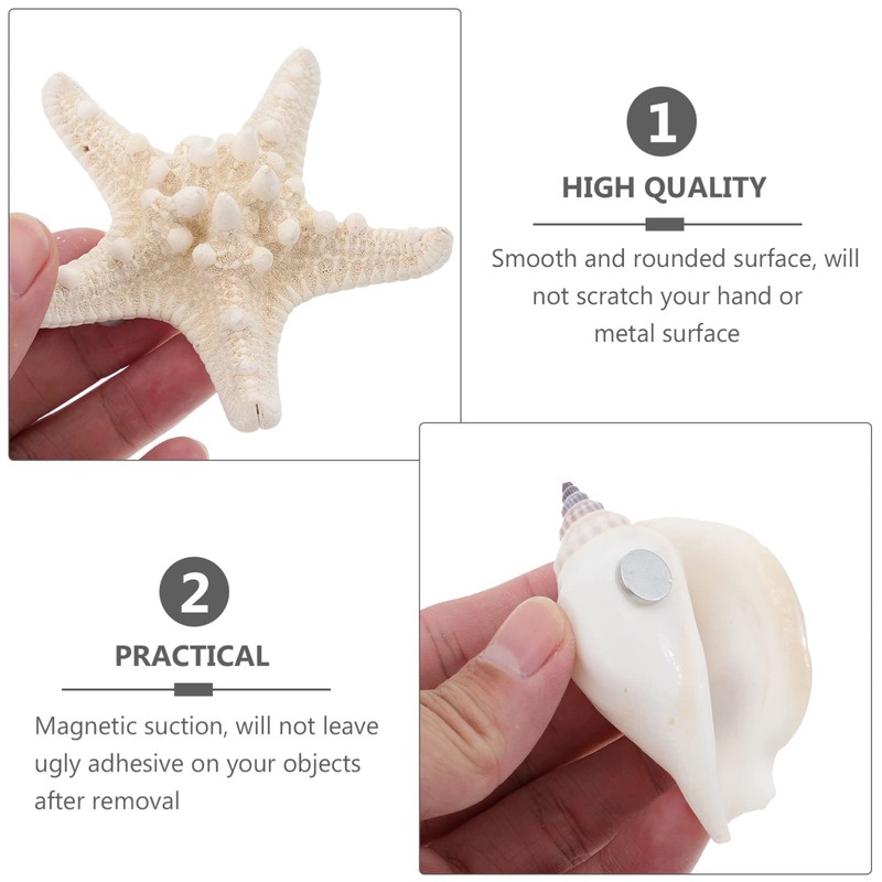 NUOBESTY 7pcs Shell Fridge Magnets Seashell Conch Star Decor Stickers