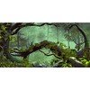 AWERT 72x24 inches Foggy Forest Terrarium Background Stone Green Tree
