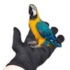 [Amybe] Pet Gloves, Cats, Dogs, Chewing Prevention, Protective Gloves, 1