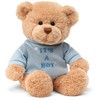 GUND 15418 It's a Boy Message BearStuffed Plush Toy, 30