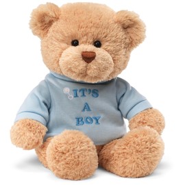 GUND 15418 It's a Boy Message BearStuffed Plush Toy, 30 x 20 x 23cm, Tan
