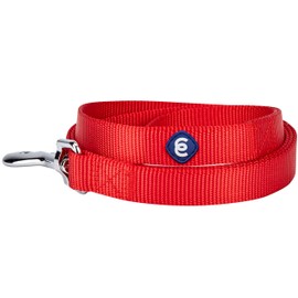 Blueberry Pet Essentials Durable Classic Dog Leash | Basic Nylon Dog Leash | 5ft. x 3/4" Medium Dog Leash | Rouge Red Dog Leash | Standard Dog Leashes & Lightweight Dog Leash for Training