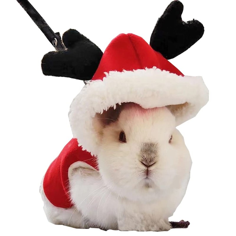 Anelekor Small Animals Christmas Costume for Rabbit Kitten Elk Cape