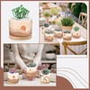 Qinyoung 6 Sets Boho Plant Pots Succulent Pot Modern Sun