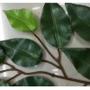 TENDER LIHOME Hojas Artificiales Ramas Verdes Decorativas Follaje 12 Pack