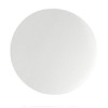 GE Healthcare 10310245 Diatomite Paper