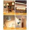 Flaspar G8 Halogen Light Bulbs, 20W G8 Bi-Pin Base Halogen