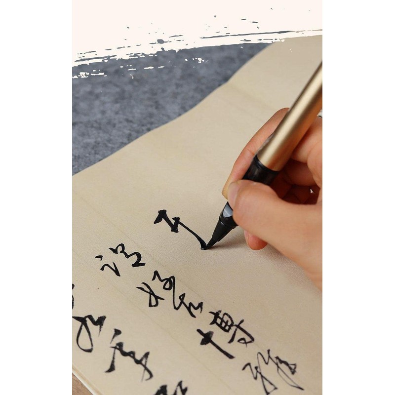 Isshinsai Fountain Pen Re-inkable, Screw Type, Black Brush Pen, Fine