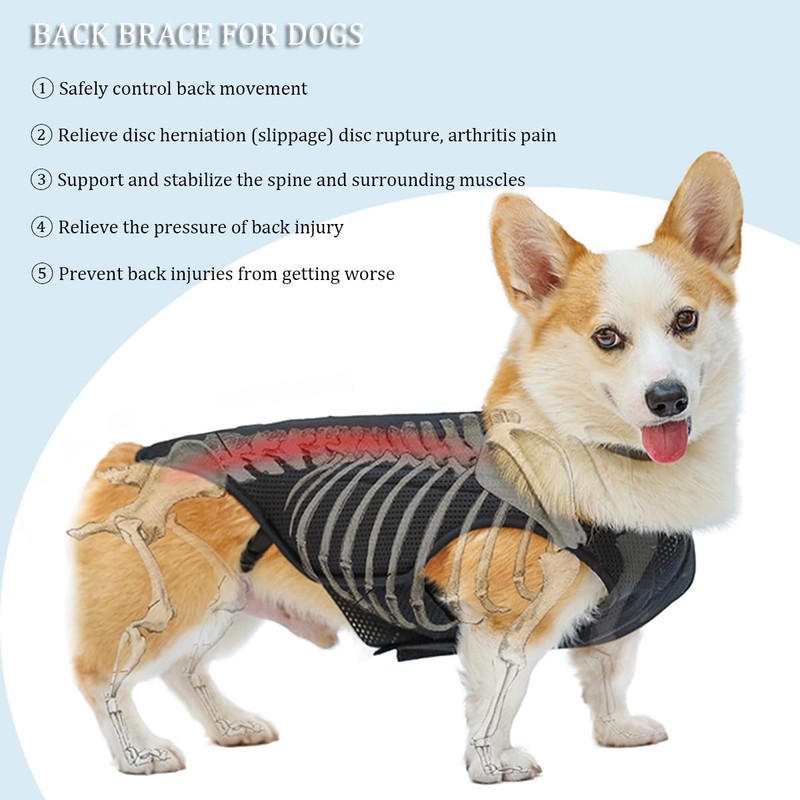 IVDD Back Brace for Dogs, Flexible Pet Dachshund Back Supporting