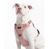 2025 New Edition, Fei & Eve Classic Dog Harness -