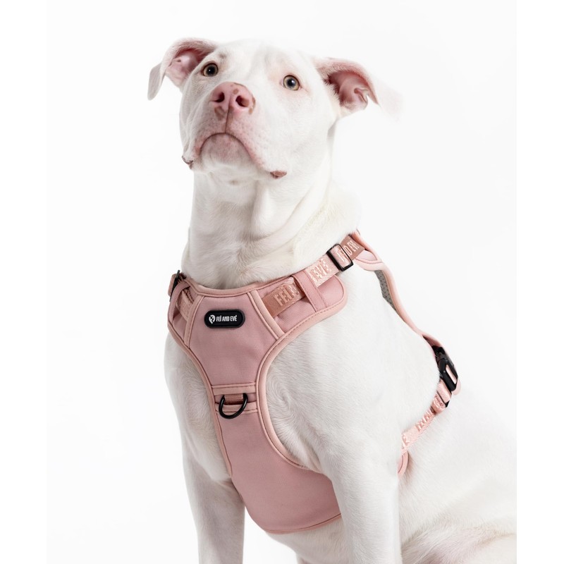 2025 New Edition, Fei & Eve Classic Dog Harness -