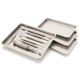SEAFON Paquete de 4 Bandejas Quirúrgicas, Bandejas Médica de Acero inoxidable (304), Bandeja de Instrumentos de Laboratorio dental, Clínico, Herramien
