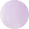 PREANFA PGU-S364 PGU-S364 Color Gel Grape Macaron 0.1 oz (3