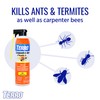 TERRO T1901-6 Ready to Use Indoor and Outdoor Carpenter Ant,