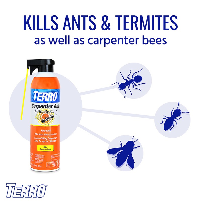 TERRO T1901-6 Ready to Use Indoor and Outdoor Carpenter Ant,
