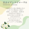 (Food with Functional Claims) Silly Miyako Harvidin Tablets, Supplement, Pollen