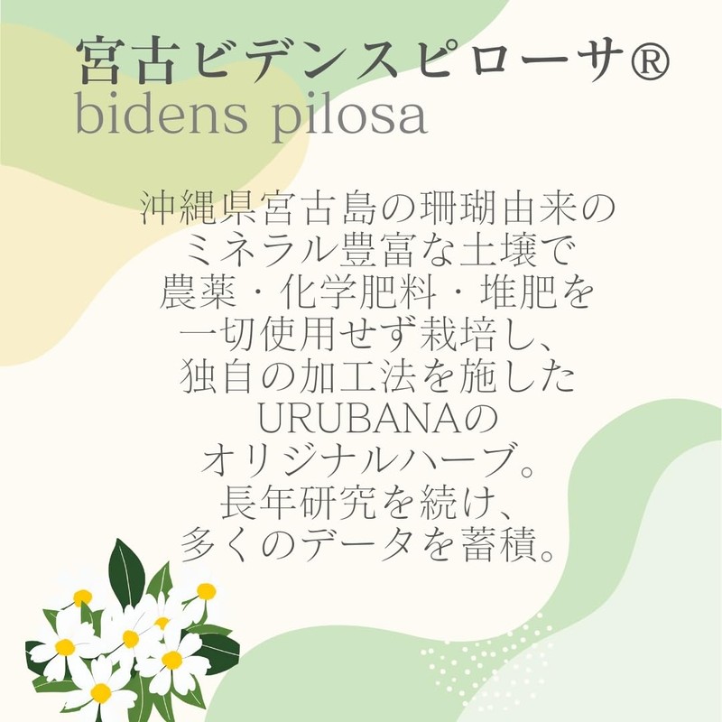 (Food with Functional Claims) Silly Miyako Harvidin Tablets, Supplement, Pollen