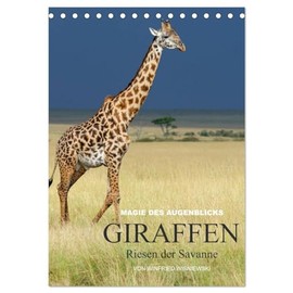 Magie des Augenblicks - Giraffen - Riesen der Savanne (Tischkalender 2026 DIN A5 hoch), CALVENDO Monatskalender: Eindrucksvolle Bilder von Giraffen, ... von Winfried Wisniewski (CALVENDO Tiere)