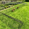 Heavy Duty Chicken Run Tunnel for Yard & Outside, Foldable