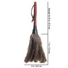 Redecker Ostrich Feather Duster with Varnished Wooden Handle, Small, 13-3/4-Inches