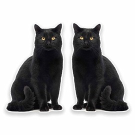 2 x 10cm/100mm Black Cat Window Cling Sticker Car Van Campervan Glass #9641