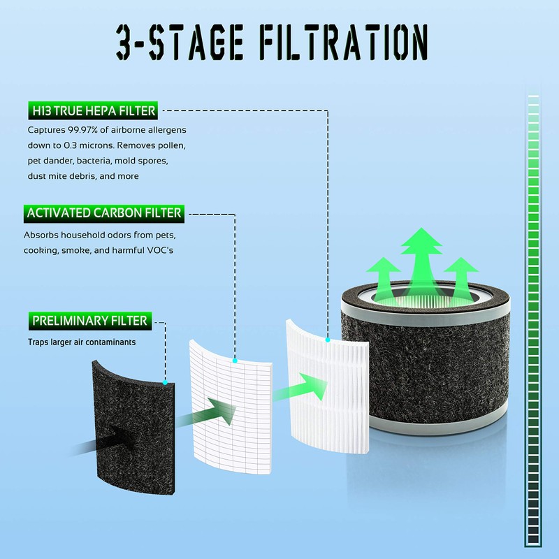 Flintar FLT4200 H13 True HEPA Replacement L Filter, Compatible with