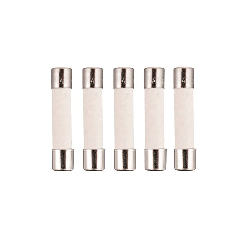 BOJACK Microwave Fuse 20a Ceramic Fuse 20 Amp 250V Slow-Blow