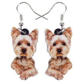 DOWAY Acrylic Dog Earrings Dangle Drop Fashion Pet Jewelry for Women Girls Kids Charm Gift (Brown-2)