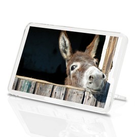 Cheeky Donkey Classic Fridge Magnet - Funny Horse Pony Animal 8260